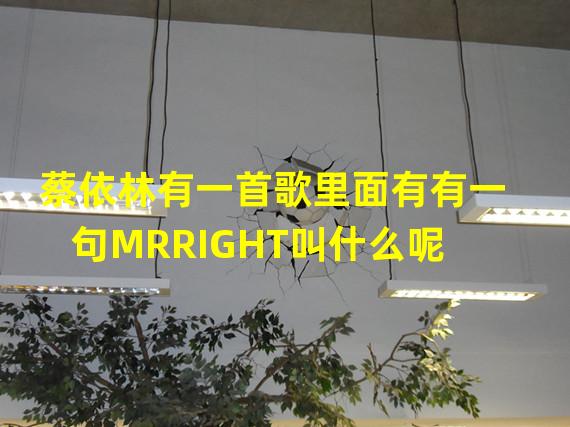 蔡依林有一首歌里面有有一句MRRIGHT叫什么呢