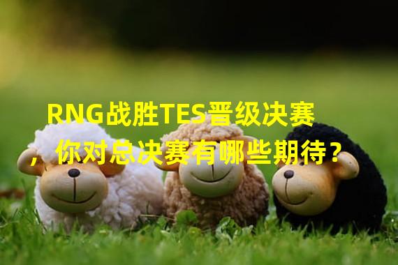 RNG战胜TES晋级决赛，你对总决赛有哪些期待？