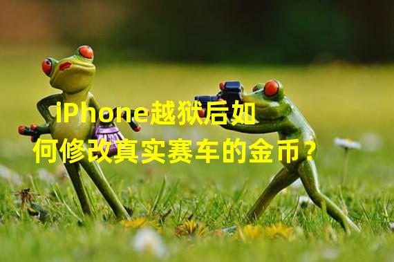 iPhone越狱后如何修改真实赛车的金币？