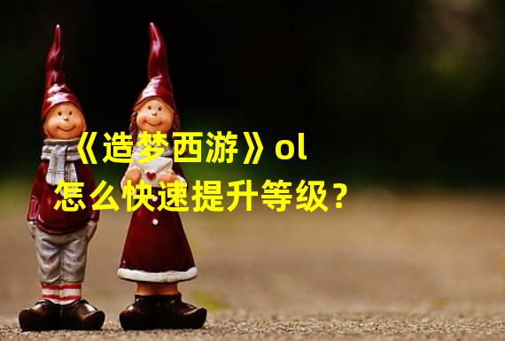 《造梦西游》ol怎么快速提升等级？