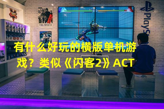 有什么好玩的横版单机游戏？类似《闪客2》ACT