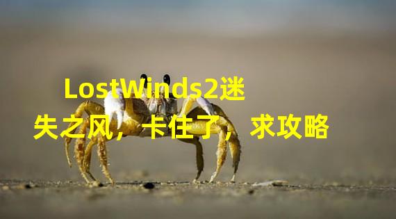 LostWinds2迷失之风，卡住了，求攻略