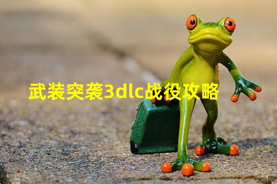 武装突袭3dlc战役攻略