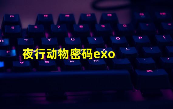 夜行动物密码exo