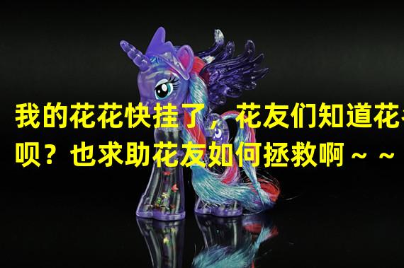 我的花花快挂了，花友们知道花名呗？也求助花友如何拯救啊～～～