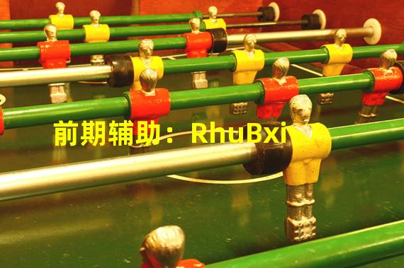 前期辅助：RhuBxi