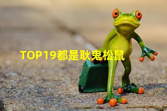 TOP19都是耿鬼松鼠