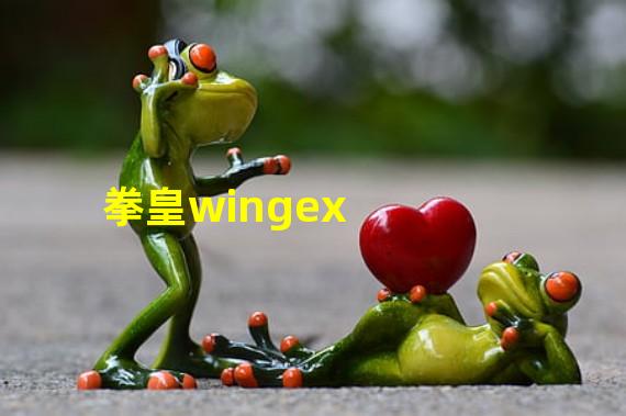 拳皇wingex