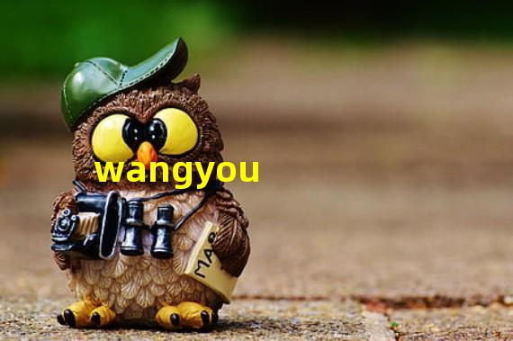 wangyou