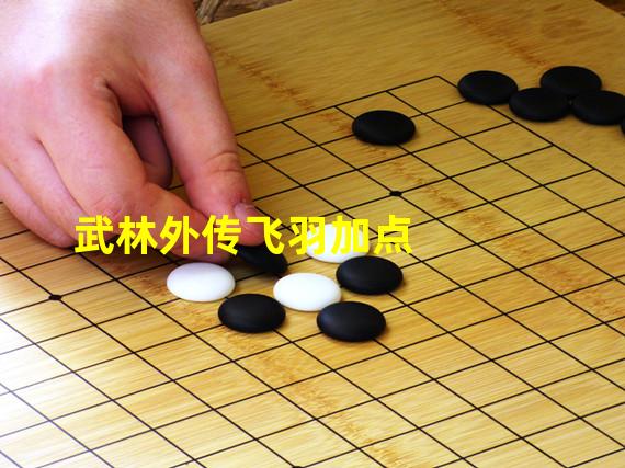 武林外传飞羽加点