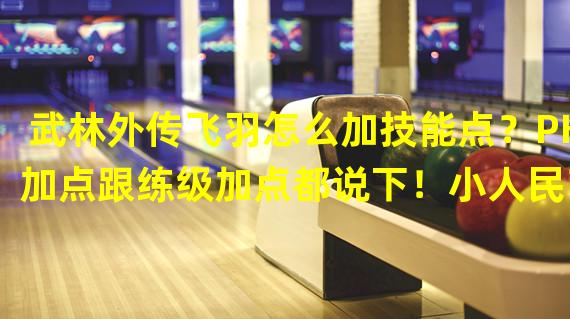 武林外传飞羽怎么加技能点？PK加点跟练级加点都说下！小人民币玩家