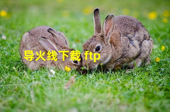 导火线下载 ftp