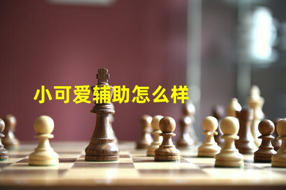 小可爱辅助怎么样