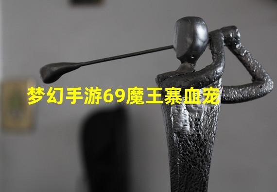 梦幻手游69魔王寨血宠