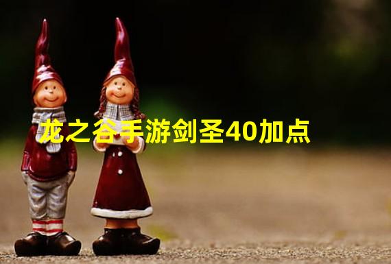 龙之谷手游剑圣40加点