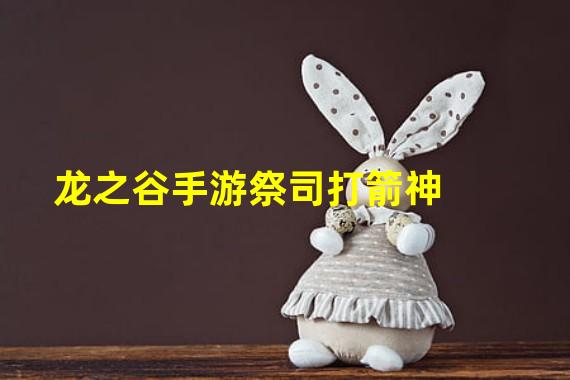 龙之谷手游祭司打箭神