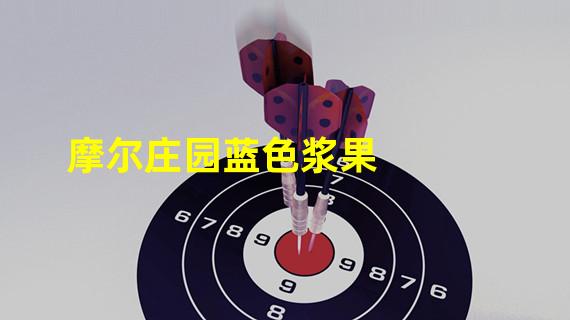 摩尔庄园蓝色浆果