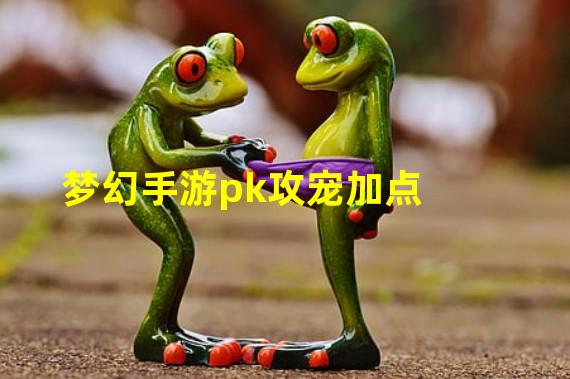 梦幻手游pk攻宠加点