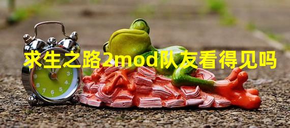 求生之路2mod队友看得见吗