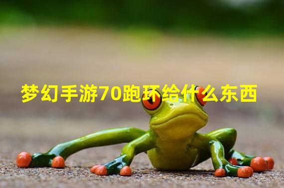 梦幻手游70跑环给什么东西