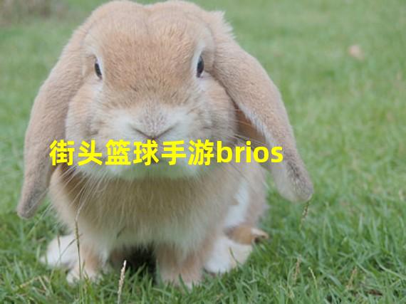 街头篮球手游brios