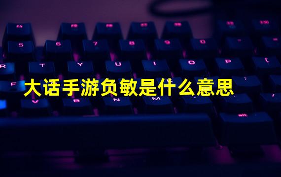 大话手游负敏是什么意思