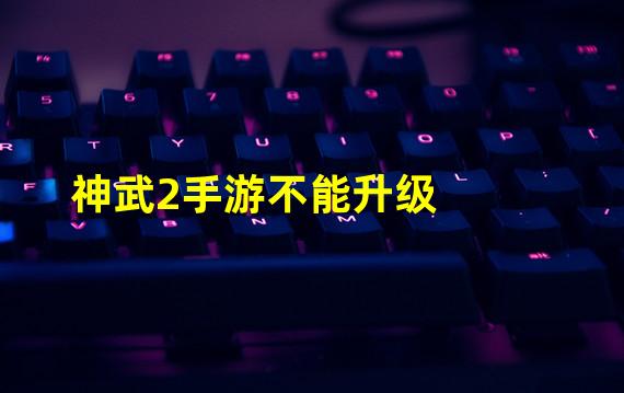 神武2手游不能升级