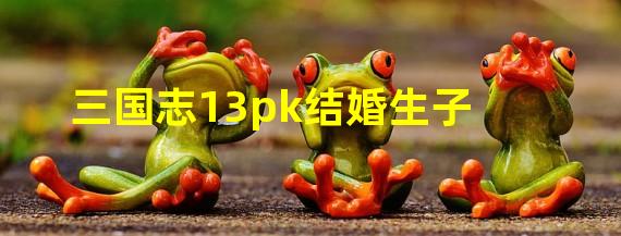 三国志13pk结婚生子