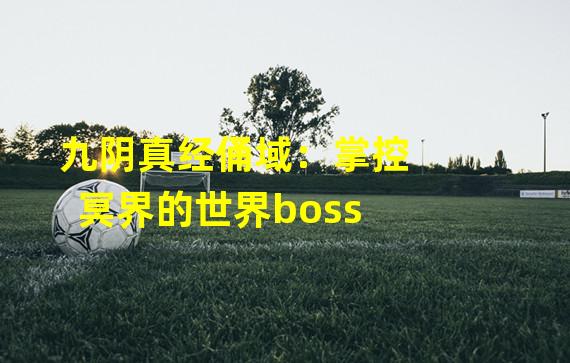 九阴真经俑域：掌控冥界的世界boss