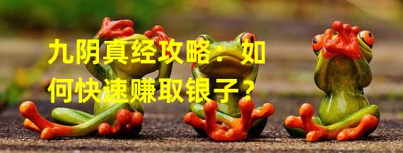 九阴真经攻略：如何快速赚取银子？