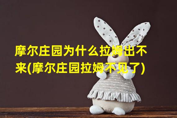 摩尔庄园为什么拉姆出不来(摩尔庄园拉姆不见了)