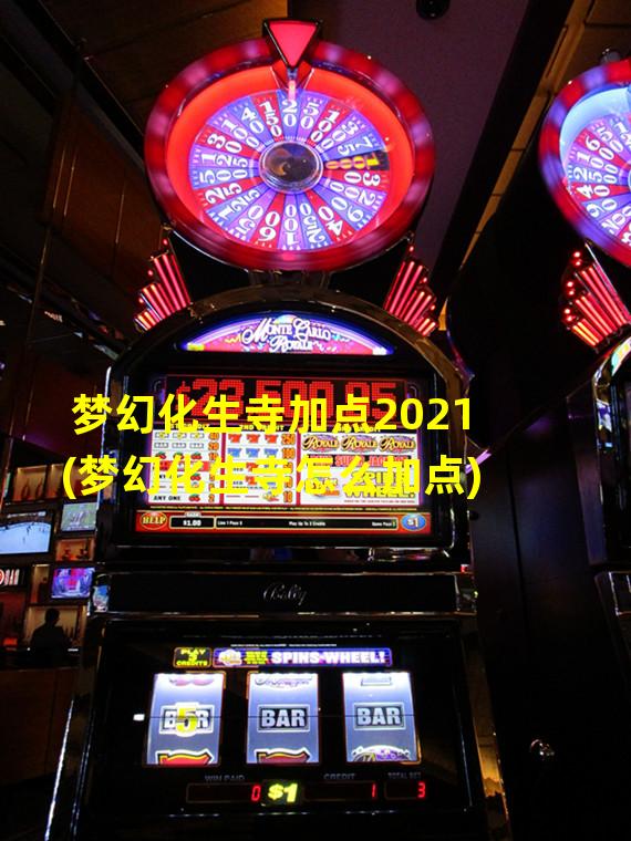 梦幻化生寺加点2021(梦幻化生寺怎么加点)