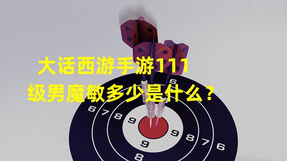 大话西游手游111级男魔敏多少是什么？