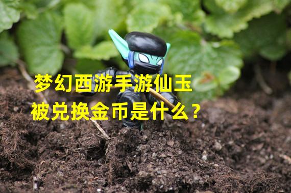 梦幻西游手游仙玉被兑换金币是什么？