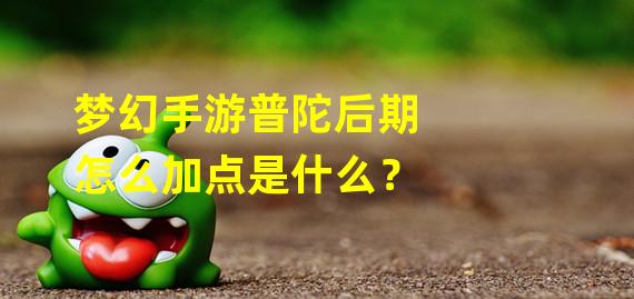 梦幻手游普陀后期怎么加点是什么？