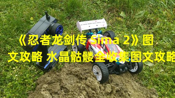 《忍者龙剑传 Sima 2》图文攻略 水晶骷髅全收集图文攻略章节1