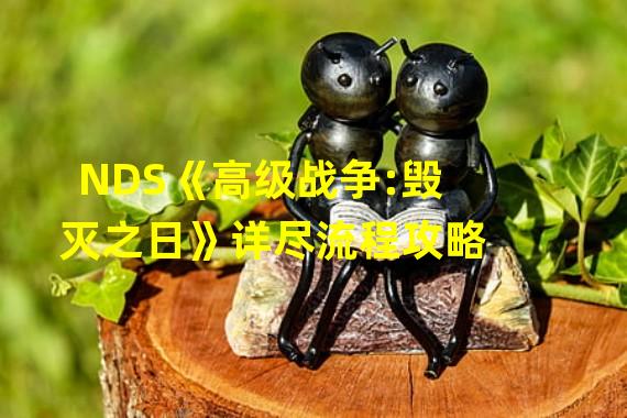 NDS《高级战争:毁灭之日》详尽流程攻略