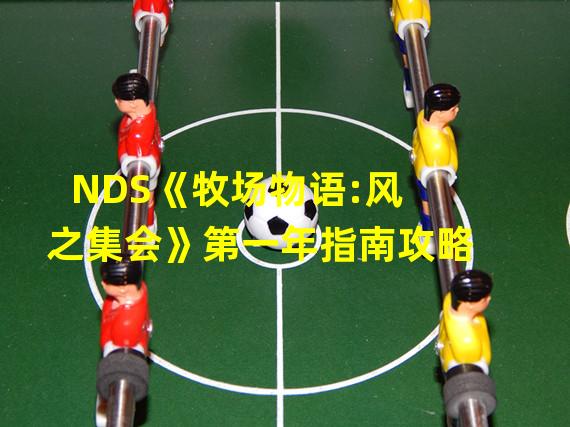 NDS《牧场物语:风之集会》第一年指南攻略