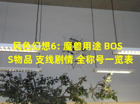 风色幻想6: 魔兽用途 BOSS物品 支线剧情 全称号一览表