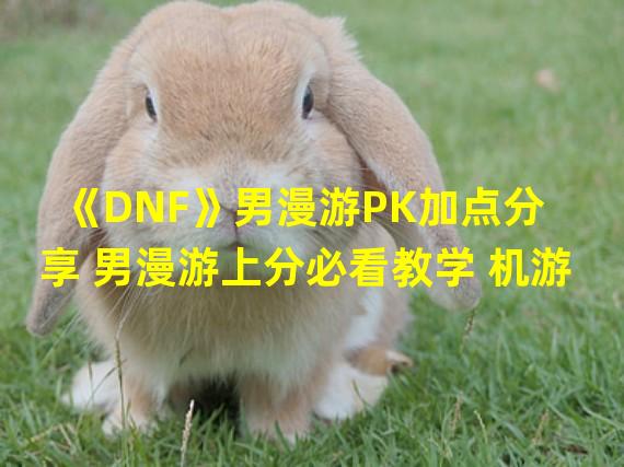 《DNF》男漫游PK加点分享 男漫游上分必看教学 机游