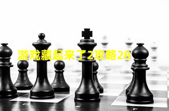 游戏藏起来了2攻略28