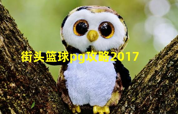 街头篮球pg攻略2017