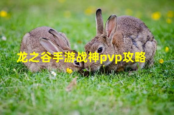 龙之谷手游战神pvp攻略