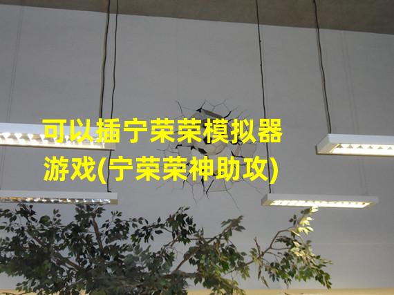 可以插宁荣荣模拟器游戏(宁荣荣神助攻)