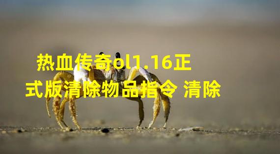 热血传奇ol1.16正式版清除物品指令 清除