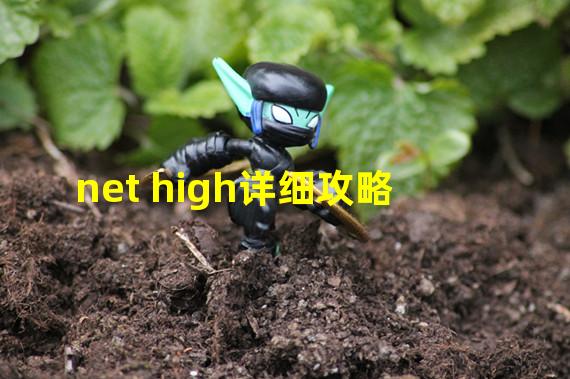 net high详细攻略