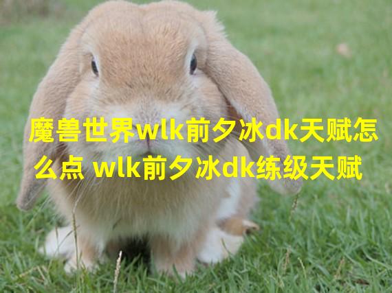 魔兽世界wlk前夕冰dk天赋怎么点 wlk前夕冰dk练级天赋怎么选