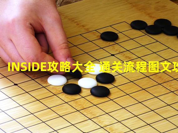 INSIDE攻略大全 通关流程图文攻略