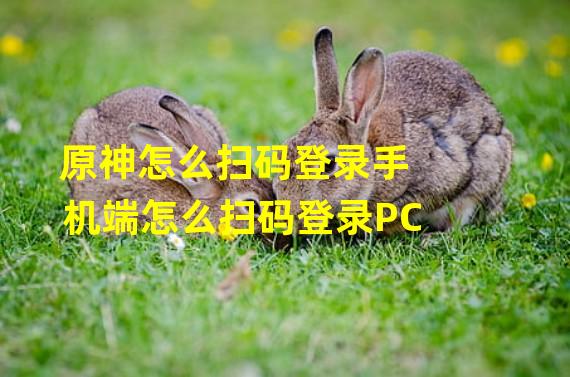 原神怎么扫码登录手机端怎么扫码登录PC