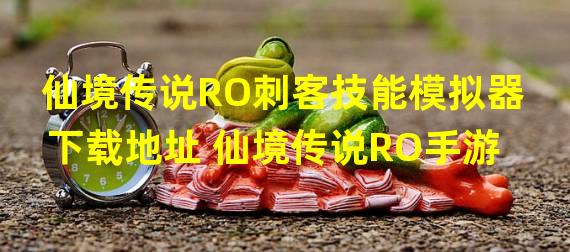 仙境传说RO刺客技能模拟器下载地址 仙境传说RO手游